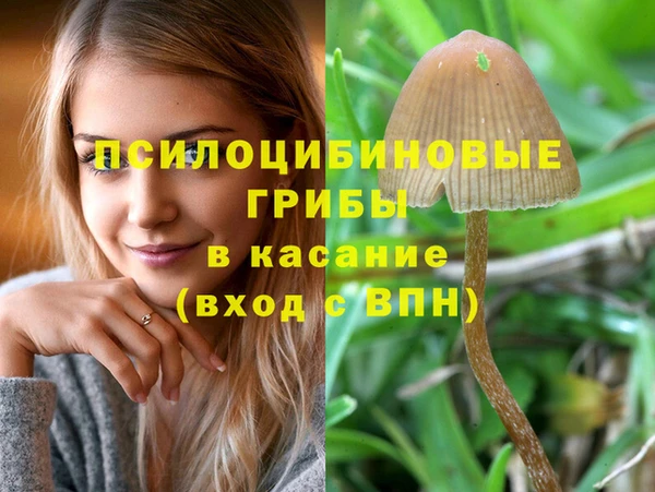 ГАЛЛЮЦИНОГЕННЫЕ ГРИБЫ Киреевск