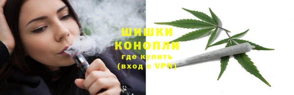 соль ск Козельск