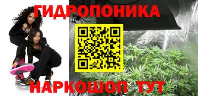 mdma Заводоуковск