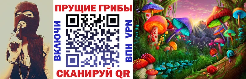 Галлюциногенные грибы GOLDEN TEACHER  Михайловка 