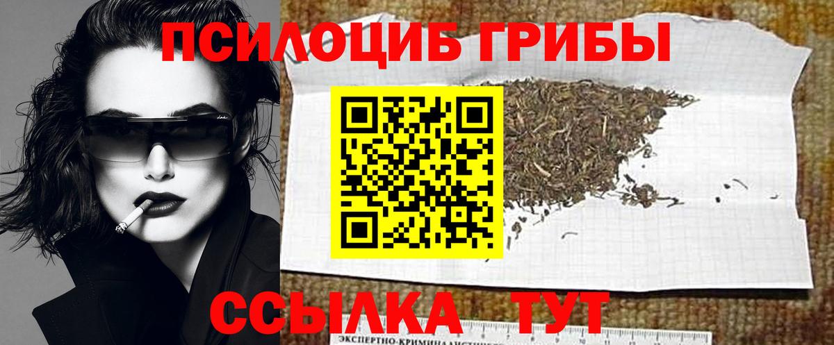 Галлюциногенные грибы мухоморы  Вход с VPN  Михайловка 
