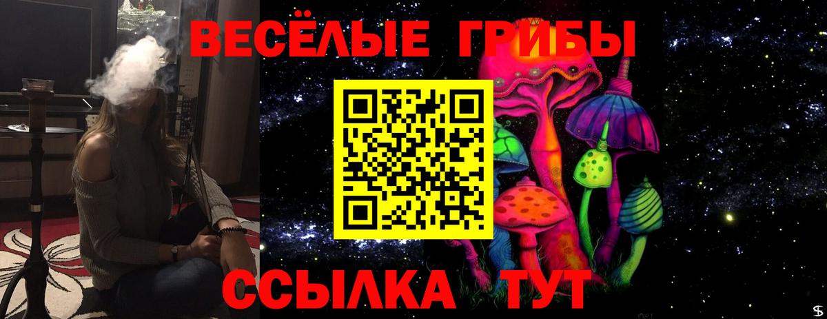 Галлюциногенные грибы Magic Shrooms Михайловка